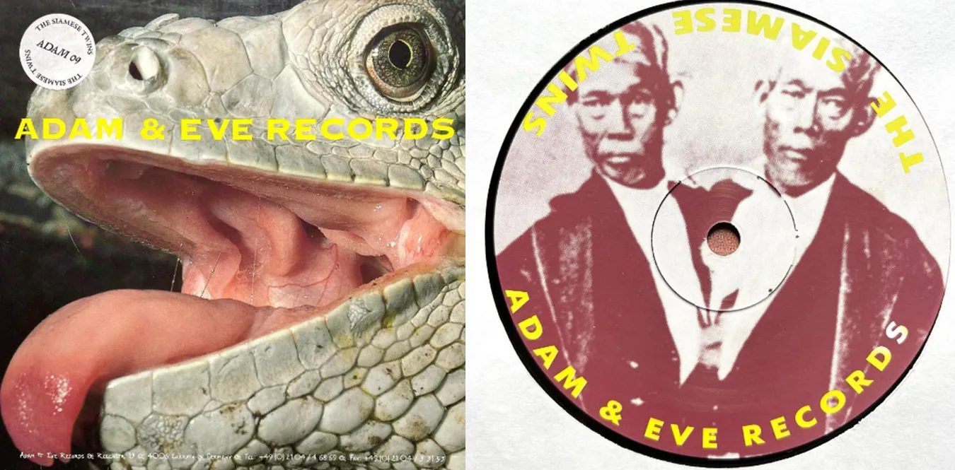 The Siamese Twins – Saladeater